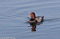 Veryl Witmer, Redhead, The Reservoir, Central Park, New York