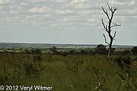 Mpumalanga, South Africa, Kruger National Park, Landscape