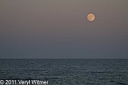 seascape, ocean, moonrise,
