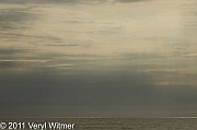 seascape, ocean