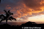 sunset, ocean, seascape, palm tree, hawaii